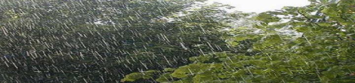 Simple Water Purification